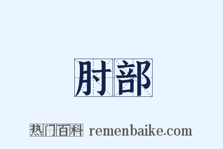 肘部是什么意思的图片